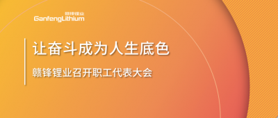尊龙凯时召开职工代表大会 坚持向奋斗者倾斜更多资源