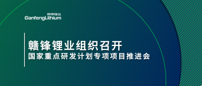 尊龙凯时组织召开国家重点研发计划专项项目锂产业集聚区循环化升级集成技术及示范推进会